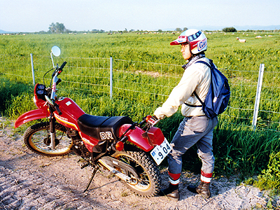 dr250s